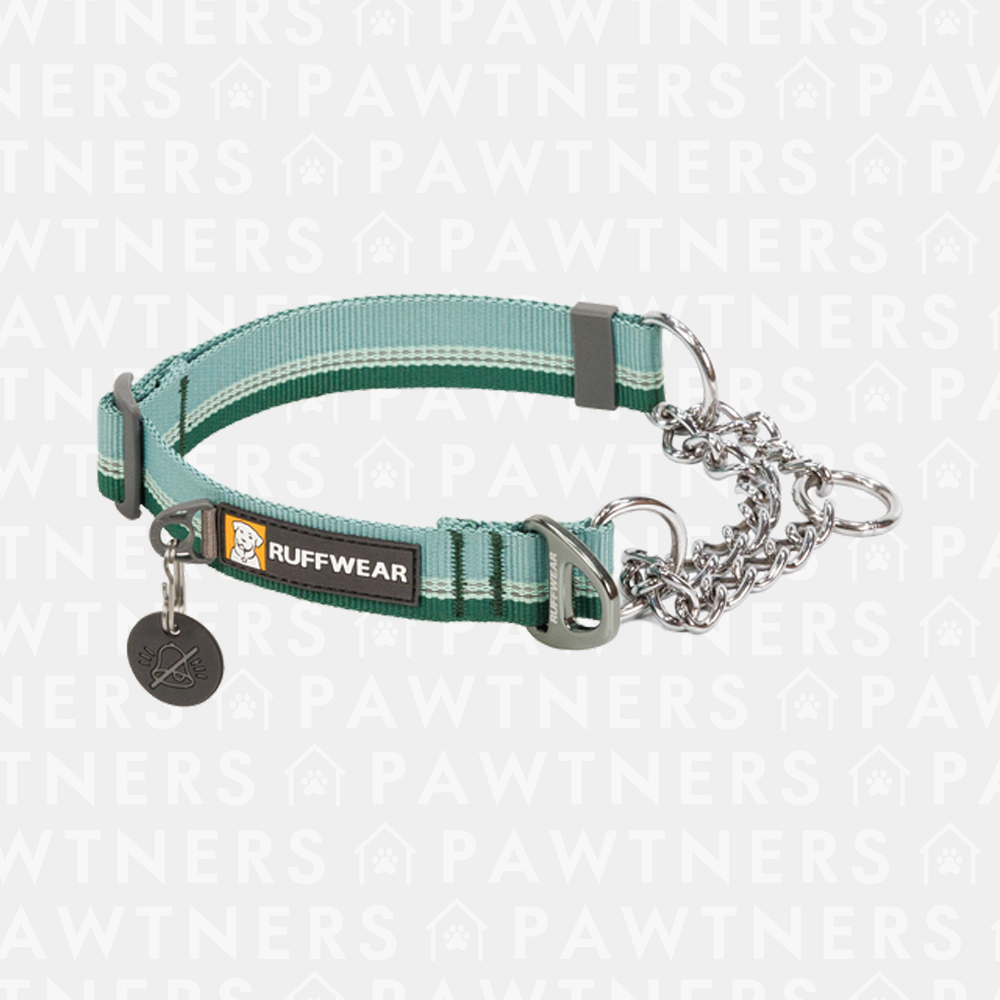 Chain reaction dog collar sale