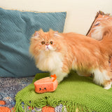 Kitten Party — Carrot Cake 貓玩具