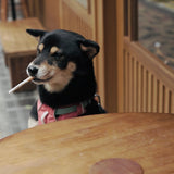 Woofboro Pet Cigarettes Snacks