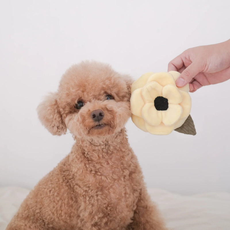 POPPY // SQUEAKY + SNUFFLE (SMALL) 藏食狗玩具