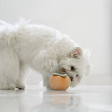 PERSIMMON // SQUEAKY + SNUFFLE DOG TOY 藏食狗玩具