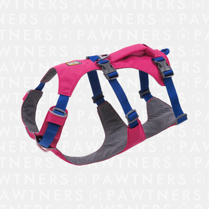 Flagline™ Dog Harness with Handle全身輕量手抽胸帶 - New colour 2024