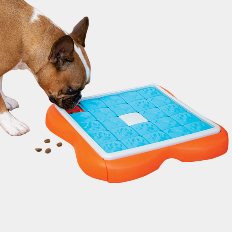 Challenge Slider Dog Toy 格格拼 Level 3 益智玩具