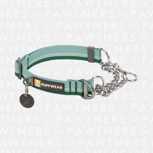 Chain Reaction Collar P New colour 2024 Pawtners