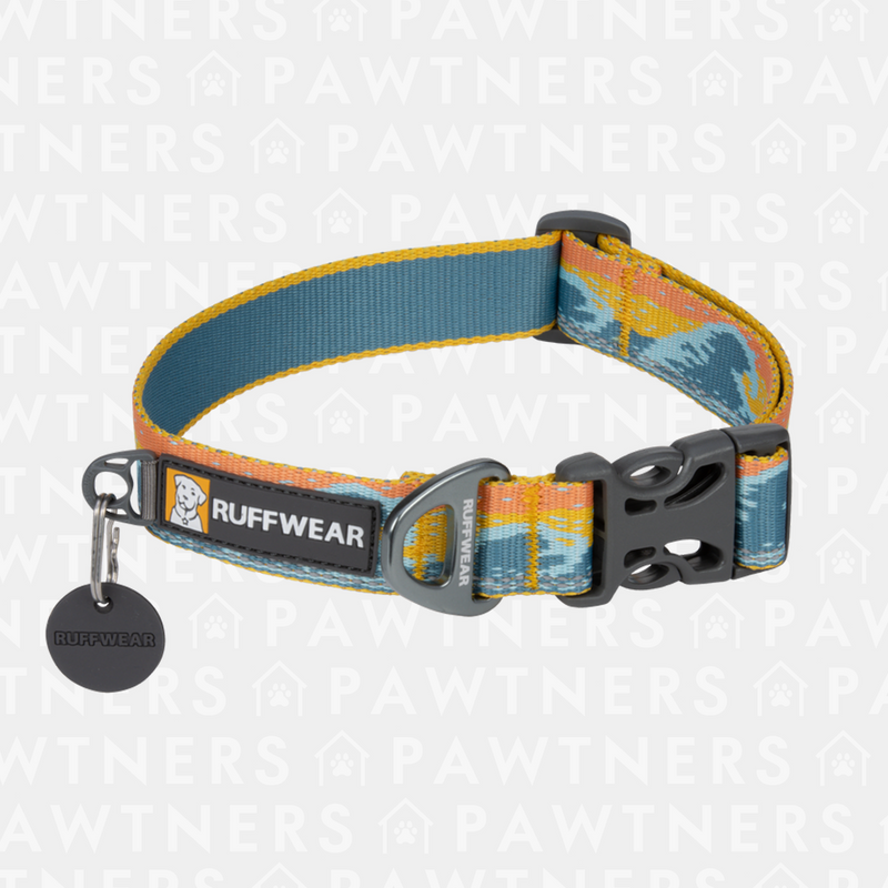 Crag Reflective Dog Collar - New colour 2024