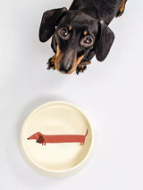 Dachshund Dog Food Bowl 陶瓷狗狗飲食碗