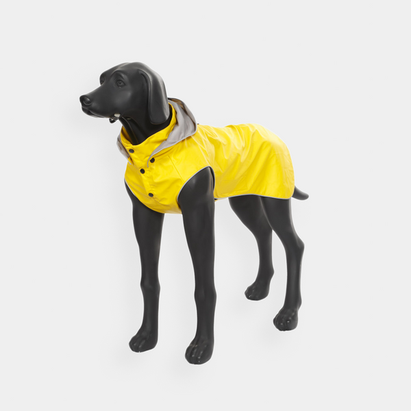 Stream Raincoat Yellow 雨衣