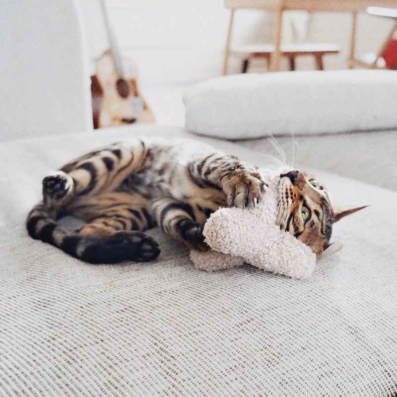 KITTY BREUER // Squeaky + Crinkly
