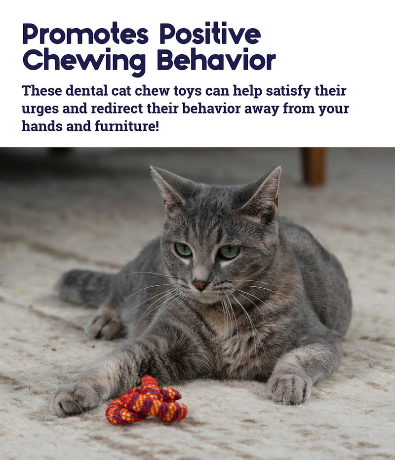 Catnip Plaque Away Pretzel Cat Chew Toy