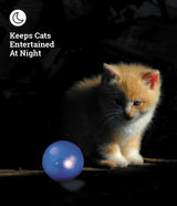 Nighttime Twinkle Ball Cat Toy, Purple